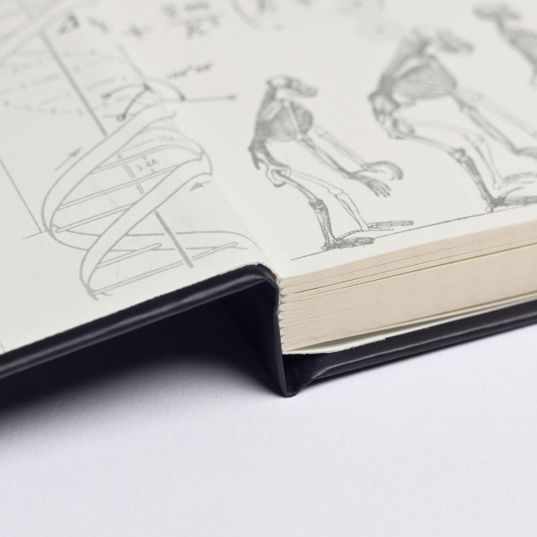 Archaeology A5 Hardcover