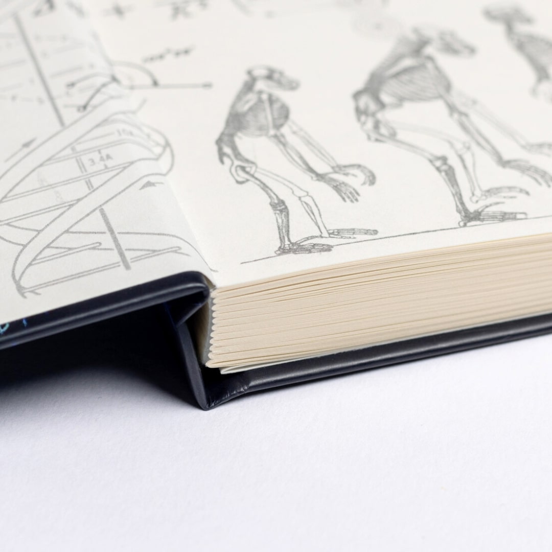 Botany A5 Hardcover