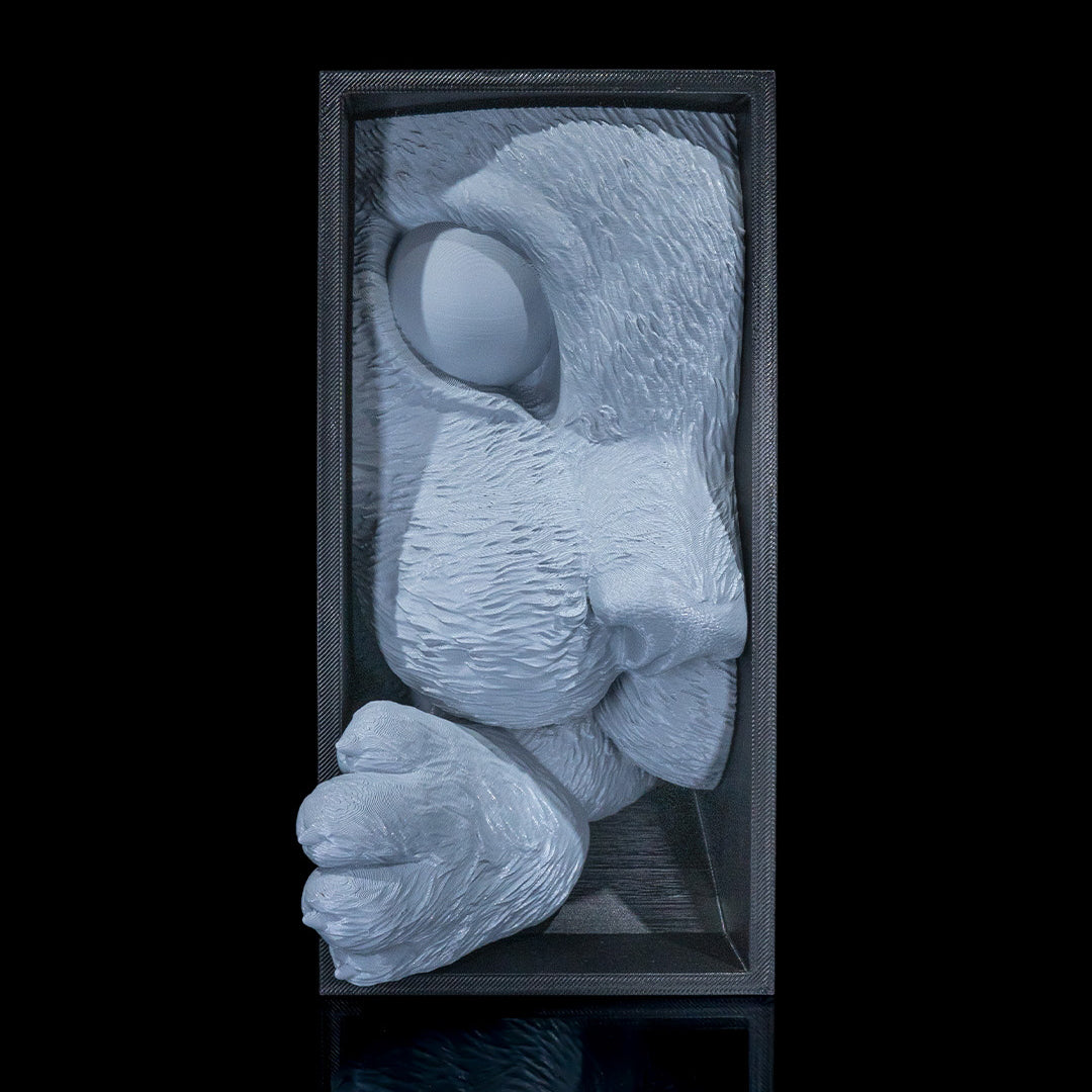 Cat’s Curiosity Book Nook – Whimsical 3D Printed Bookshelf Insert for Cat & Book Lovers